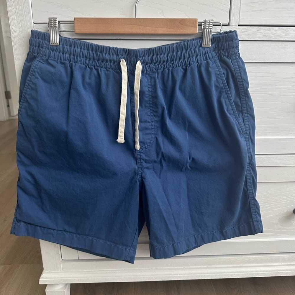 J. Crew Men’s Blue Casual Shorts